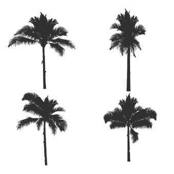 Wood brush set, black, natural, art, ZIP