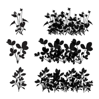 Plant brush set, black, natural, art, ZIP