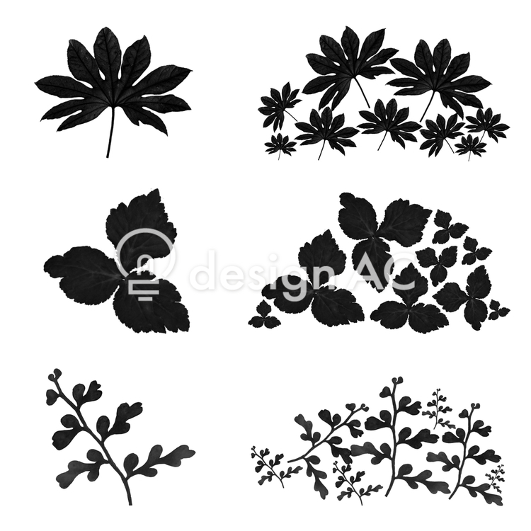 Leaf brush set 1962 - Free Download - templateAC