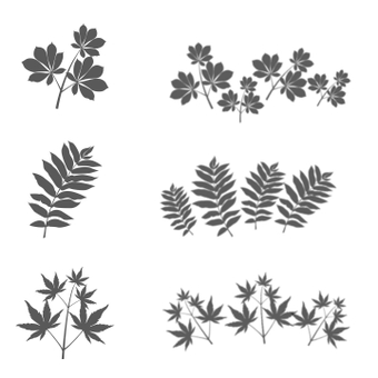 Plant brush set, natural, art, plant, ZIP