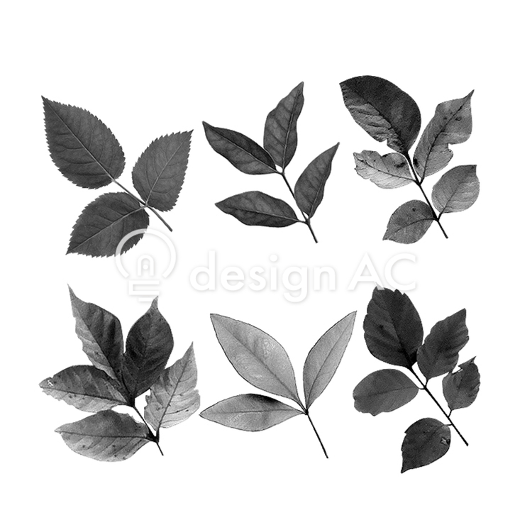 Leaf brush 371 - Free Download - templateAC